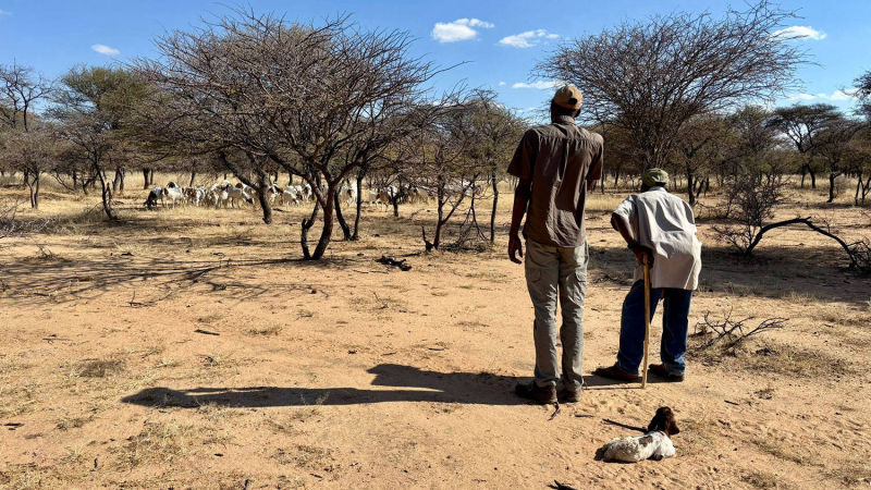 Laurie Marker: A Future of Coexistence