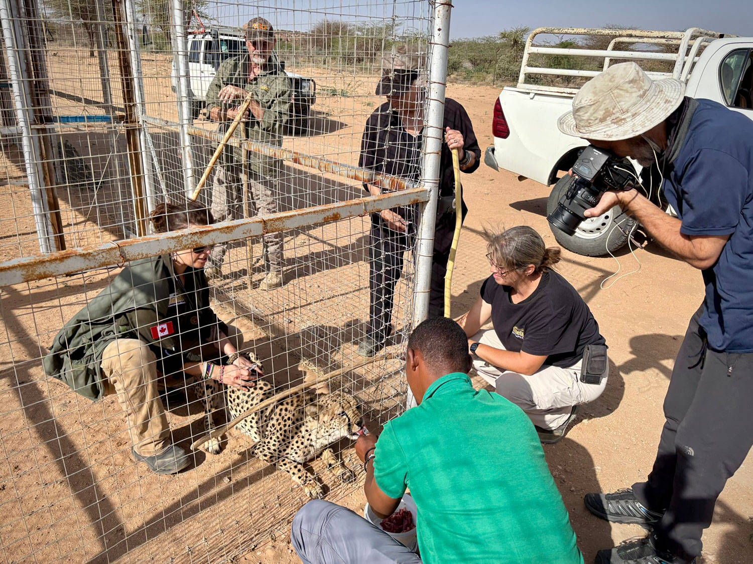 Laurie Marker: A Future of Coexistence