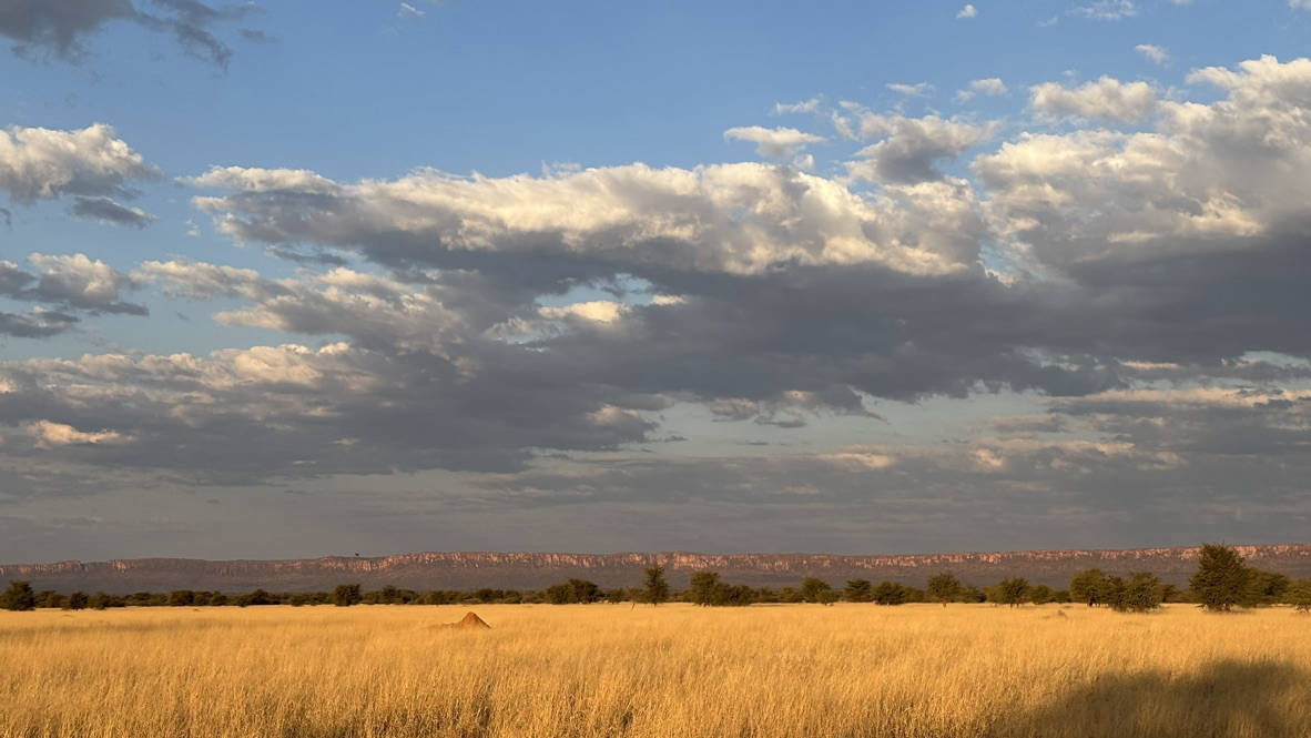 Laurie Marker: A Future of Coexistence