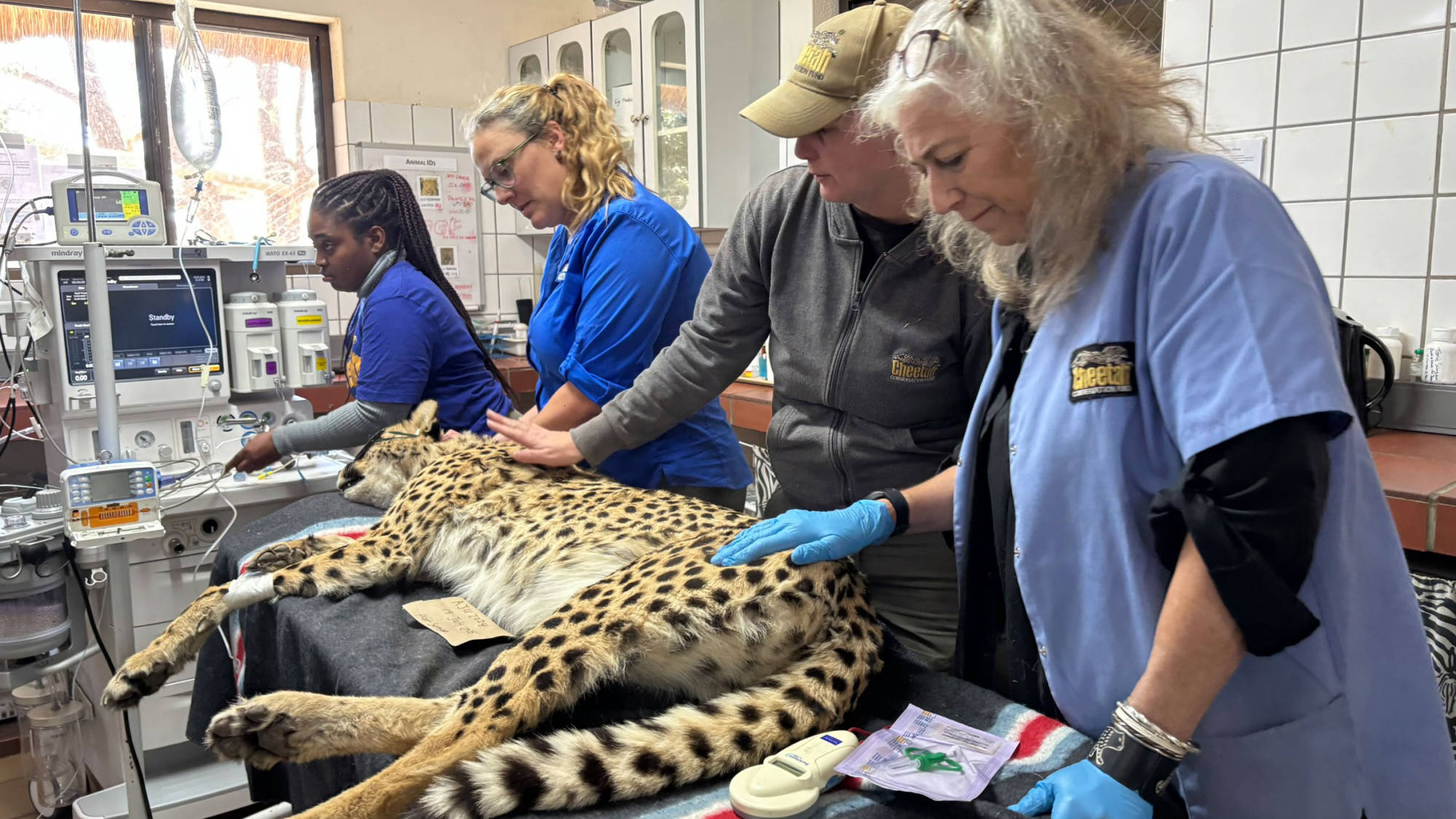 Laurie Marker: A Future of Coexistence