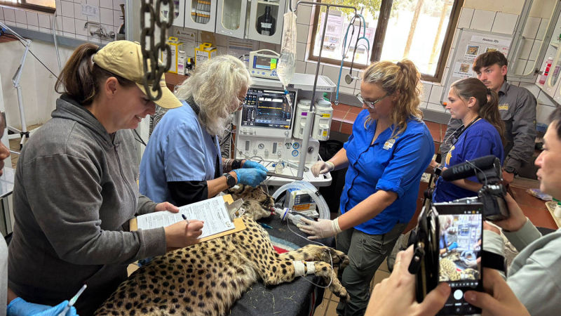 Laurie Marker: A Future of Coexistence