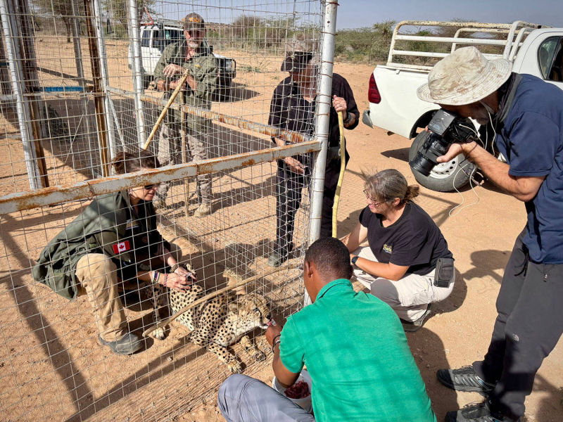 Laurie Marker: A Future of Coexistence